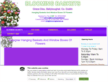 Tablet Screenshot of bloomingbaskets.ie